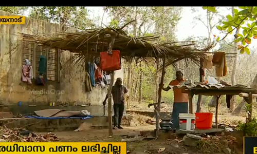 നരിമാന്തിക്കൊല്ലിയില്‍ കാട്ടിലേക്കു താമസം മാറ്റിയ ആദിവാസികളുടെ കുടിലുകള്‍ കാട്ടാന തകര്‍ത്തു