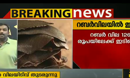 റബര്‍ വിലയില്‍ വന്‍ ഇടിവ് തുടരുന്നു