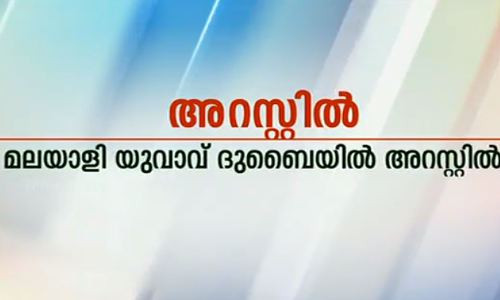 സഹോദരിയെ വിദേശത്ത് കൊണ്ടുപോയി പീഡിപ്പിച്ച സഹോദരന്‍ പിടിയില്‍