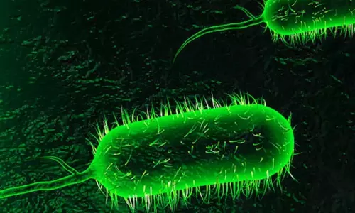 കോഴിക്കോടും കോളറ സ്ഥിരീകരിച്ചു