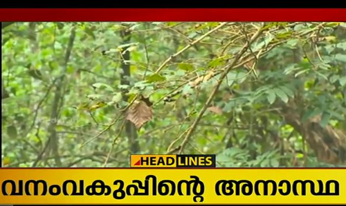 വനംവകുപ്പിന്റെ അനാസ്ഥ; പൊന്തംപുഴ വനമേഖല സ്വകാര്യ വ്യക്തികളിലേക്ക്