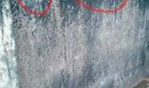 വീടുകളിലെ കറുത്ത സ്റ്റിക്കര്; വ്യാജപ്രചാരണത്തിനെതിരെ പ്രതിഷേധം വീടുകളിലെ കറുത്ത സ്റ്റിക്കര്; വ്യാജപ്രചാരണത്തിനെതിരെ പ്രതിഷേധം