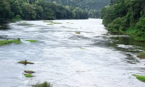 പരാജയമായി മാറിയ പമ്പ ആക്ഷന്‍ പ്ലാന്‍