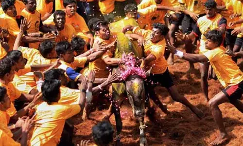 ജെല്ലിക്കെട്ടിന് 5000 വര്ഷത്തെ പാരമ്പര്യമുണ്ടാകും, പക്ഷേ ഇനി അനുവദിക്കാനാകില്ല: സുപ്രിംകോടതി ജെല്ലിക്കെട്ടിന് 5000 വര്ഷത്തെ പാരമ്പര്യമുണ്ടാകും, പക്ഷേ ഇനി അനുവദിക്കാനാകില്ല: സുപ്രിംകോടതി