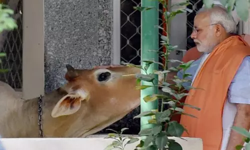 കളി പശുവിനോട് വേണ്ട; മോദി വിവരമറിയുമെന്ന് ഹിന്ദു മഹാസഭ