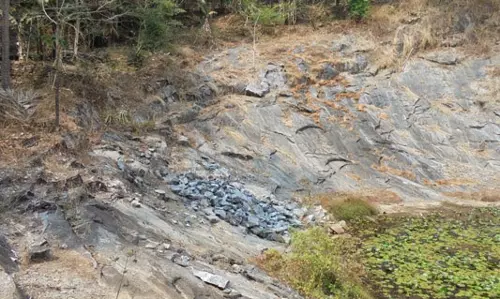 സര്ക്കാര് ഭൂമിയില് സിഎസ്ഐ ചര്ച്ചിന്റെ ക്വാറി; കേസ് സര്ക്കാര് ഗൌരവത്തിലെടുക്കണമെന്ന് ഹൈക്കോടതി സര്ക്കാര് ഭൂമിയില് സിഎസ്ഐ ചര്ച്ചിന്റെ ക്വാറി; കേസ് സര്ക്കാര് ഗൌരവത്തിലെടുക്കണമെന്ന് ഹൈക്കോടതി