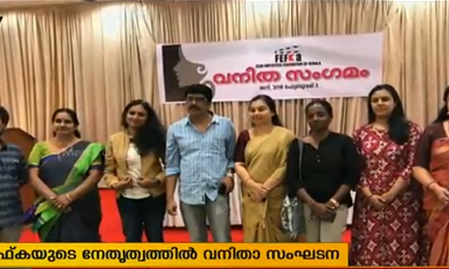 സിനിമാ മേഖലയില്‍ ഫെഫ്കയുടെ നേതൃത്വത്തില്‍ പുതിയ വനിതാ സംഘടന 