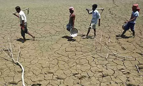 ഇന്ത്യയില്‍ കഴിഞ്ഞ വര്‍ഷം ആത്മഹത്യ ചെയ്തത് എണ്ണായിരത്തിലധികം കര്‍ഷകര്‍