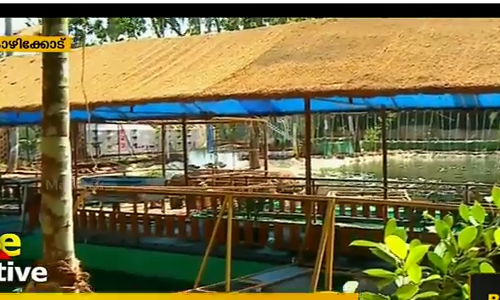 മാമ്പുഴ സംരക്ഷണത്തിനായി അക്വാപോണിക്സ് കൃഷിയുമായി ഒരുപറ്റം യുവാക്കള്‍