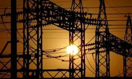 ഇനിയും വൈദ്യുതിയെത്താതെ പോങ്ങുംമൂട് ആദിവാസി കോളനി