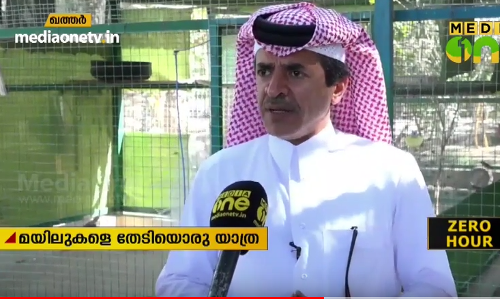 ലോകത്തിലെ മയിലുകളുടെ വൈവിധ്യം ഒരിടത്ത്