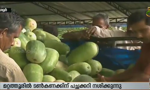 പച്ചക്കറി വാങ്ങാനാളില്ല; മറ്റത്തൂരില്‍ പച്ചക്കറി നശിക്കുന്നു