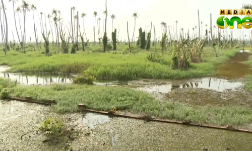 ആര്‍ ബ്ലോക്കില്‍ കൃഷി പുനരാരംഭിക്കുമെന്ന വാഗ്ദാനം നടപ്പായില്ല
