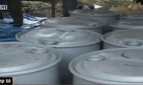 എന്‍ഡോസള്‍ഫാന്‍ നിര്‍വീര്യമാക്കാനുള്ള നീക്കം പാളുന്നു