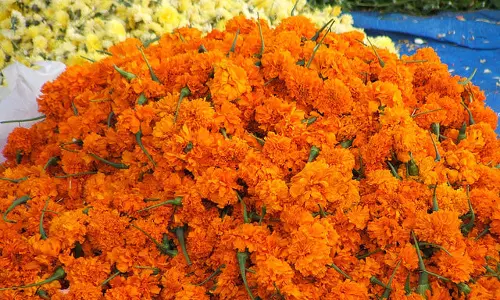 അതിര്‍ത്തി കടന്നെത്തുന്ന പൂക്കള്‍ക്ക് തീവില; ലാഭം മുഴുവന്‍ ഇടനിലക്കാര്‍ക്ക്