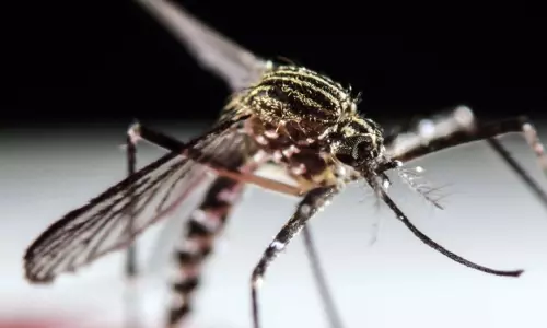 സിക്ക വൈറസ് ലോകമെമ്പാടും പടര്ന്നുപിടിക്കുമെന്ന് മുന്നറിയിപ്പ് സിക്ക വൈറസ് ലോകമെമ്പാടും പടര്ന്നുപിടിക്കുമെന്ന് മുന്നറിയിപ്പ്