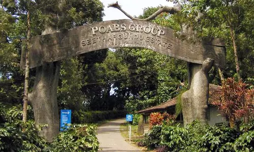 കരുണ എസ്റ്റേറ്റ് ഹൈക്കോടതിയില്‍ ഉപഹരജി ഫയല്‍ ചെയ്തു