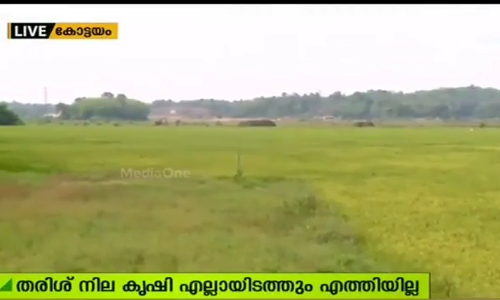 സംസ്ഥാനത്ത് എണ്ണായിരം ഹെക്ടറോളം കൃഷിഭൂമി തരിശ് കിടക്കുന്നു