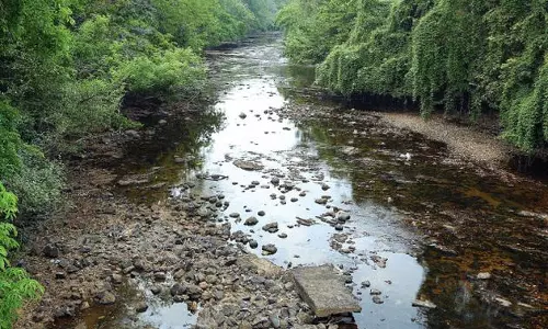 പമ്പ വരളുന്നു; പള്ളിയോടങ്ങളില്‍ പലതും കരയിലായി