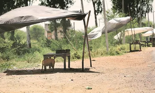 ബിരിയാണിക്ക് പേരുകേട്ട മേവാത്ത് ദുഖത്തിന്റെ നിഴലില് ബിരിയാണിക്ക് പേരുകേട്ട മേവാത്ത് ദുഖത്തിന്റെ നിഴലില്