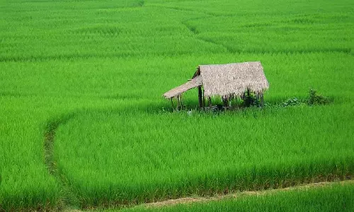 നെൽവയൽ-നീർത്തട സംരക്ഷണ ബില്ലിൽ ഭേദഗതികൾ കൊണ്ടുവരാൻ എൽഡിഎഫ് അനുമതി