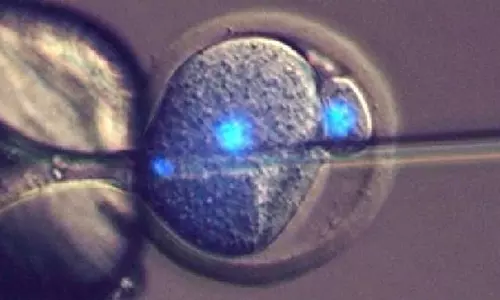 ഇനി അമ്മമാരില്ലാതെയും കുഞ്ഞുങ്ങള്‍ ജനിക്കും !