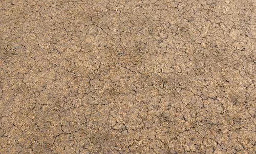 ഇന്ത്യ- ന്യൂസിലന്‍ഡ് ടെസ്റ്റ്; കാണ്‍പൂര്‍ പിച്ച് ആരെ തുണക്കും?