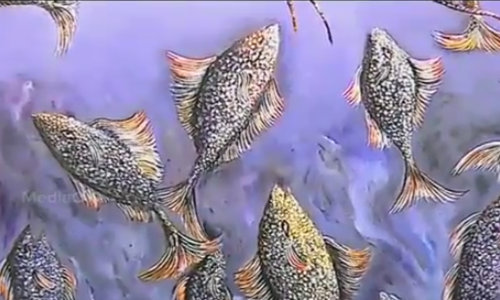 പെണ്‍മനസിന്റെ സഞ്ചാരങ്ങളെ വര്‍ണ്ണങ്ങളാക്കി സ്മിത