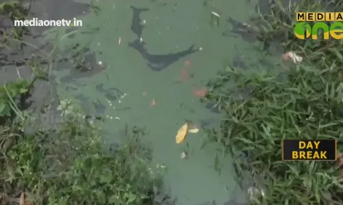 ചാലിയാറില്‍ കണ്ടെത്തിയ ബ്ലൂ ഗ്രീന്‍ ആല്‍ഗ സമീപത്തെ പുഴകളിലുമെത്തി