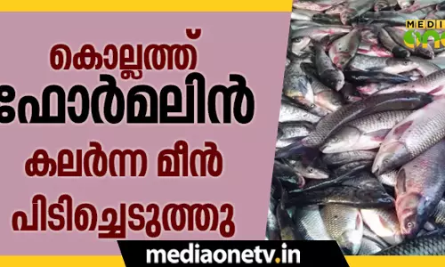 കൊല്ലത്ത്  ഫോർമലിൻ കലർന്ന മീൻ പിടിച്ചെടുത്തു