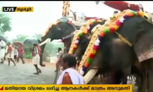 പൂരത്തിനെത്തുന്ന ആനകള്‍ക്ക് മേല്‍ വനംവകുപ്പിന്റെ  കര്‍ശന നിരീക്ഷണം