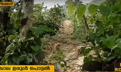 ഉരുള്‍പൊട്ടല്‍; പ്രത്യേക പുനരധിവാസ പാക്കേജ് അനുവദിക്കണമെന്ന് കട്ടിപ്പാറ ഗ്രാമപഞ്ചായത്ത്