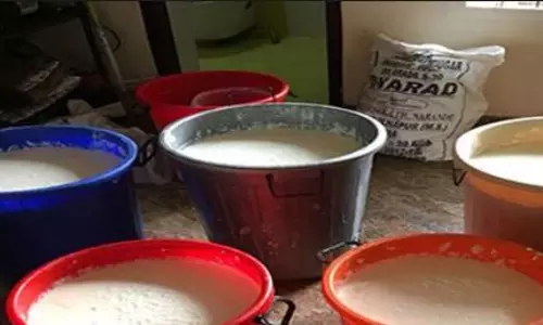 എറണാകുളത്തെ ലസി മൊത്ത വിതരണ കേന്ദ്രം അടപ്പിച്ചു