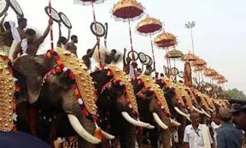 ശാരീരികക്ഷമതാ പരിശോധന: രണ്ട് ആനകള്‍ പൂരം എഴുന്നള്ളിപ്പിൽ നിന്ന് പുറത്ത്