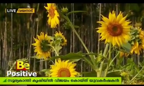 സൂര്യകാന്തി വിരിഞ്ഞു, സുനിലിന്റെ മുറ്റത്ത്