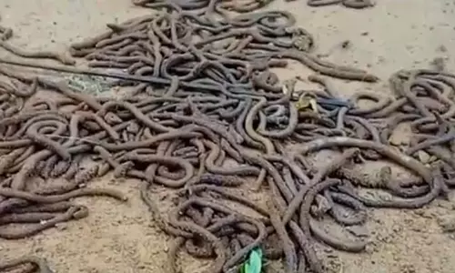 വയനാട്ടില്‍ വീട്ടില്‍ സൂക്ഷിച്ച തോക്കുമായി യുവാവ് അറസ്റ്റില്‍