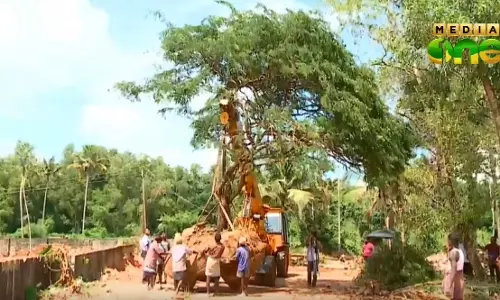 മൈതാനത്തിനായി മരങ്ങള്‍ മുറിച്ചുമാറ്റാതെ പറിച്ചു നട്ട് അസ്സീസി വിദ്യനികേതന്‍