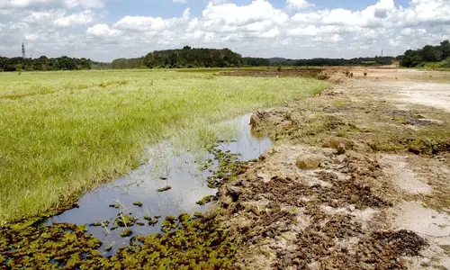 ആറന്മുളയിലെ ജലസ്രോതസുകള്‍ പുനസ്ഥാപിക്കാന്‍ നടപടിയില്ല