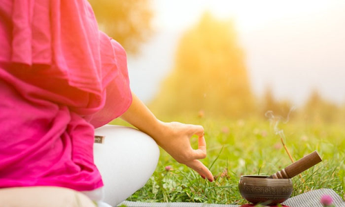 യോഗ അംബാസിഡേഴ്സ് ടൂർ കൊച്ചിയിൽ സമാപിച്ചു 