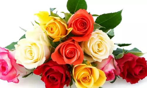 സമാധാനത്തിന്റെ സന്ദേശവുമായി റോസാപ്പൂക്കള്‍ വിതരണം ചെയ്തു കുഞ്ഞുങ്ങള്‍