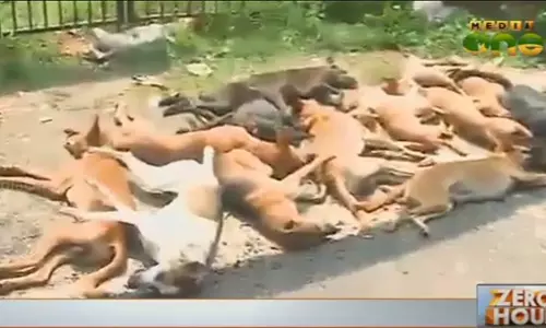 വര്ക്കലയില് തെരുവുനായ്ക്കളെ കൊന്ന ജോസ് മാവേലിക്കെതിരെ കേസെടുത്തു, പ്രതിഷേധവുമായി നാട്ടുകാര് വര്ക്കലയില് തെരുവുനായ്ക്കളെ കൊന്ന ജോസ് മാവേലിക്കെതിരെ കേസെടുത്തു, പ്രതിഷേധവുമായി നാട്ടുകാര്