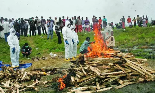 ആലപ്പുഴയില്‍ ഒരിടത്തുകൂടി പക്ഷിപ്പനി സ്ഥിരീകരിച്ചു