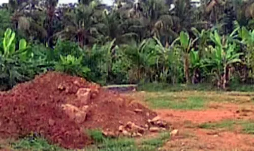 നെല്‍വയല്‍ നികത്തല്‍ സാധൂകരണ അപേക്ഷകള്‍ പരിഗണിക്കില്ല