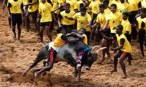 സ്ഥിരം നിയമം വേണമെന്ന് പ്രതിഷേധക്കാര്‍; ജെല്ലിക്കെട്ട് മുടങ്ങി