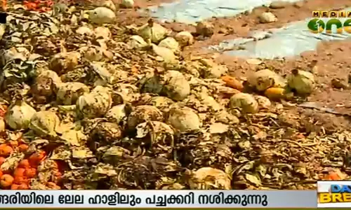 ഹോര്‍ട്ടി കോര്‍പ്പിന്‍റെ ടണ്‍ കണക്കിന് പച്ചക്കറി നശിക്കുന്നു