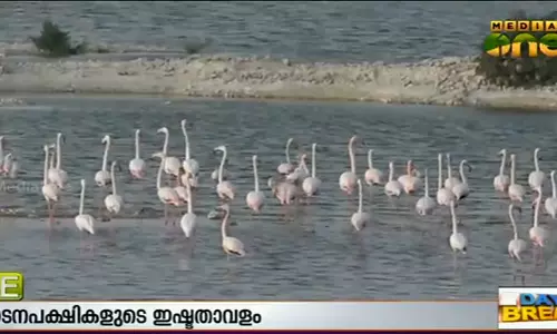 മലിനജല സംസ്കരണത്തില് മാതൃകയായി ഗള്ഫ് നാടുകള് മലിനജല സംസ്കരണത്തില് മാതൃകയായി ഗള്ഫ് നാടുകള്