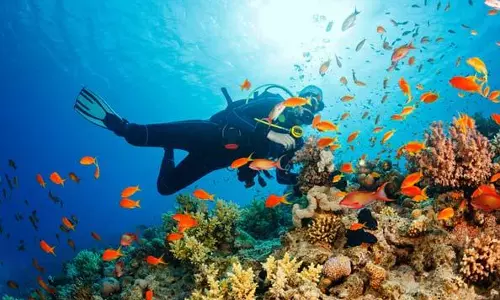 മീനുകളെ തിരിച്ചറിയാനും ഇനി മൊബൈല്‍ ആപ്