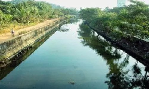 മാലിന്യ നിക്ഷേപ കേന്ദ്രമായി കനോലി കനാല്‍