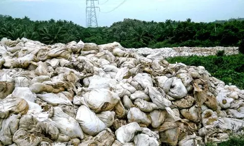 Complaint about dumping garbage in the forest area of ​​Idukki,latest news ഇടുക്കിയിലെ വനമേഖലയിൽ മാലിന്യം തള്ളുന്നതായി പരാതി