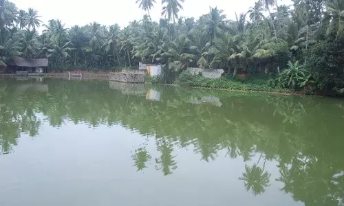കുളം നിറയെ നല്ല വെള്ളം; കുടിക്കാന്‍ കഴിയില്ല